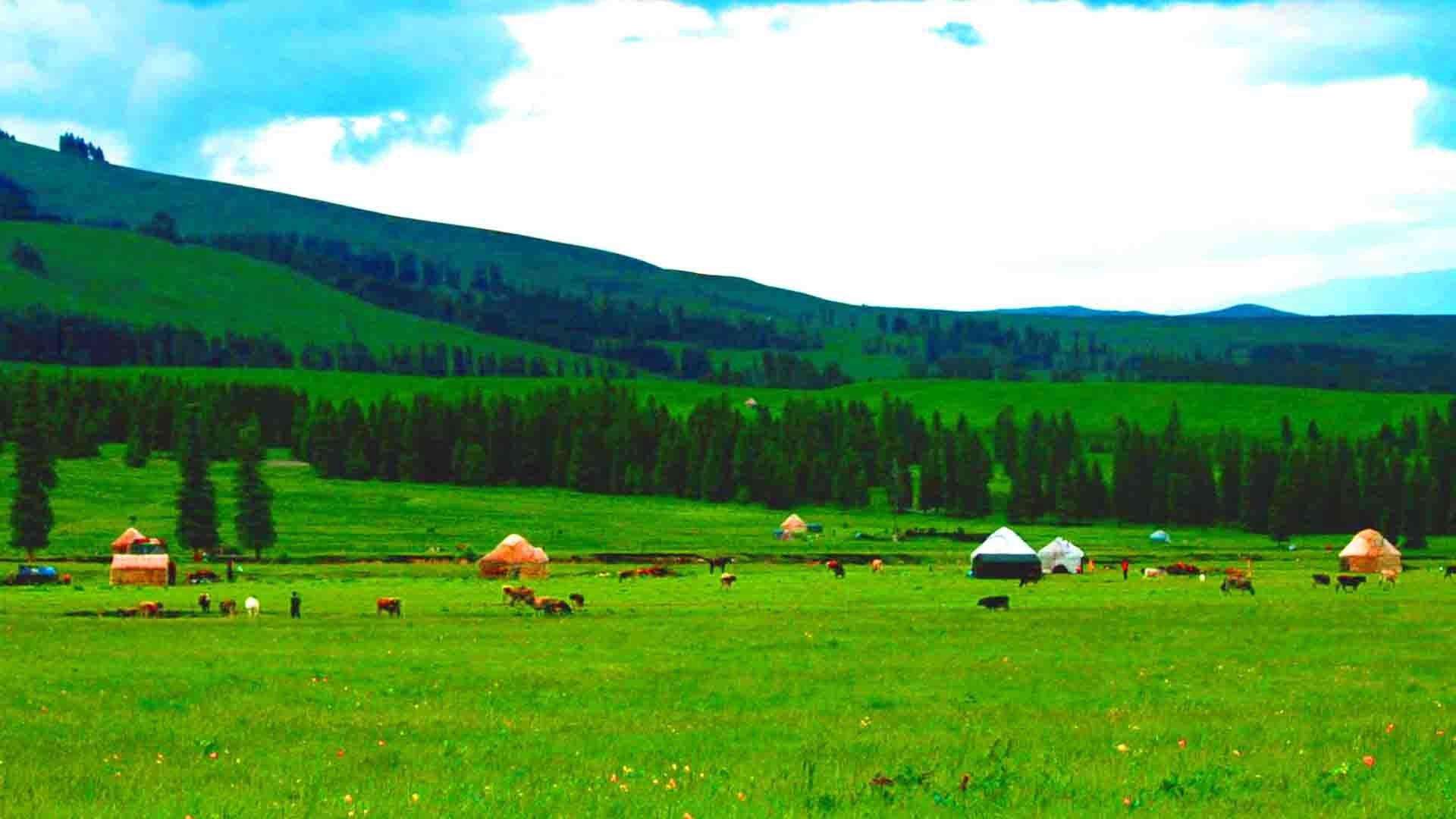 开发游戏公司需要什么人才(分析游戏研发工程师人才)