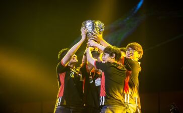 Q2：如何收集《集合》！动物森友会和 Nintendo Switch Online 使用绑定？